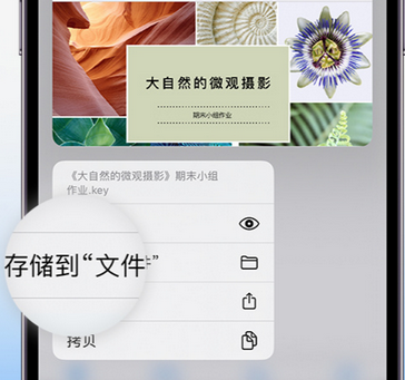 古丈apple维修中心分享iPhone文件应用中存储和找到下载文件