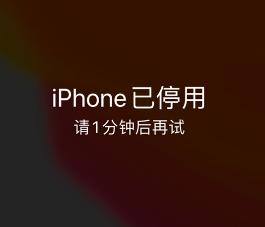 古丈苹果手机维修分享:iPhone 显示“不可用”或“已停用”怎么办？还能保留数据吗？ 