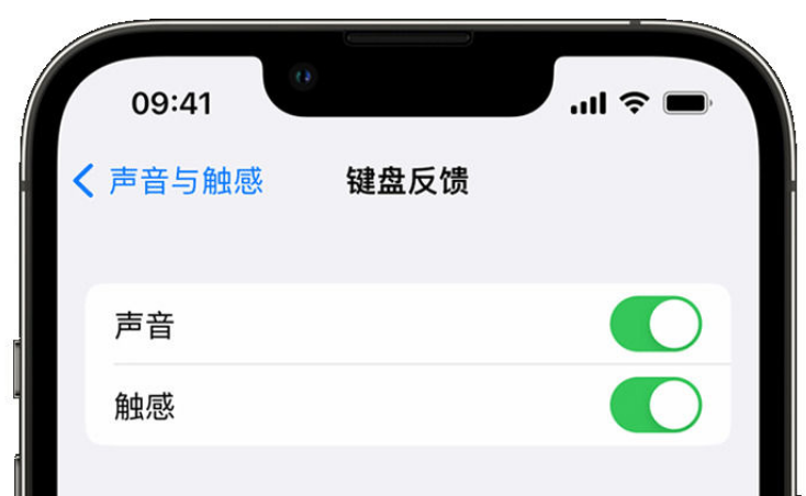 古丈苹果手机维修分享iPhone 14触感键盘使用方法 