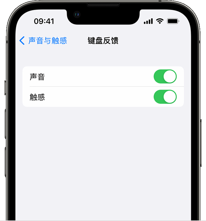 古丈苹果14维修店分享如何在 iPhone 14 机型中使用触感键盘 