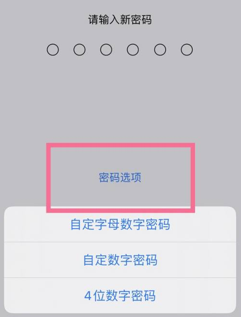 古丈苹果14维修分享iPhone 14plus设置密码的方法 