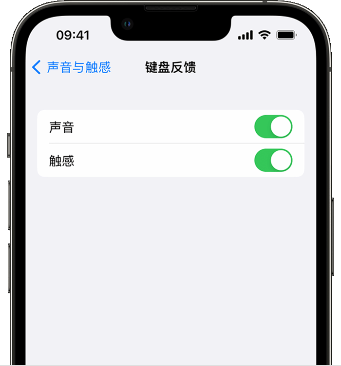 古丈苹果14维修分享iPhone 14 系列机型如何开启键盘声音或触感反馈 