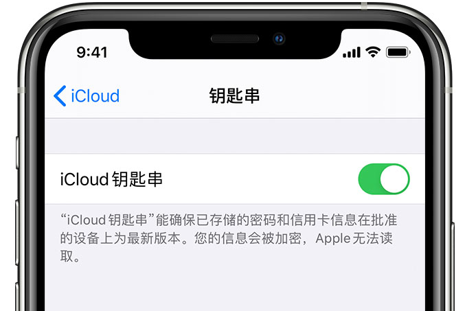 古丈苹果手机维修分享在 iPhone 上开启 iCloud 钥匙串之后会储存哪些信息 