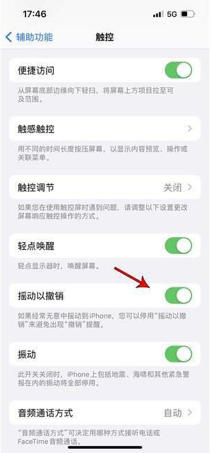 古丈苹果手机维修分享iPhone手机如何设置摇一摇删除文字 